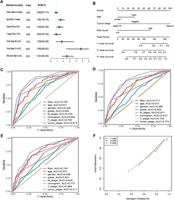 Novel amino acid metabolism‐related gene signature to predict prognosis in clear cell renal cell carcinoma